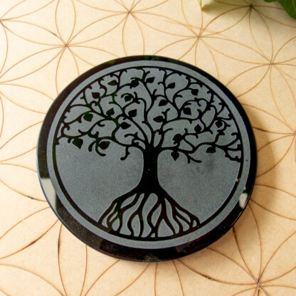 Plaque de rechargement en Obsidienne noire – Image 2