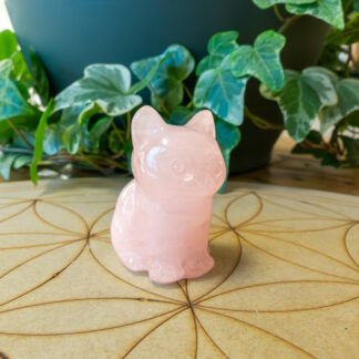 Chat Quartz Rose