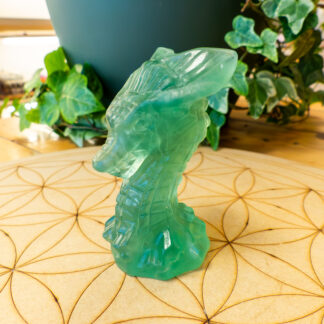 Fluorite dragon