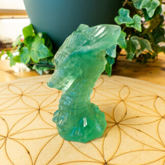 Fluorite dragon