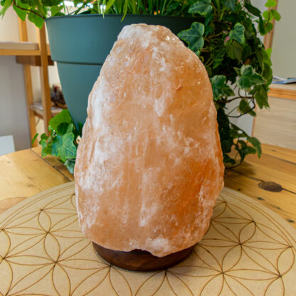 Lampe de sel petit modèle socle bois