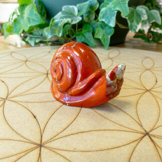 Jaspe rouge escargot