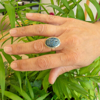 Bague Pietersite #1