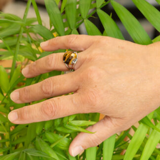 Bague en acier inoxydable