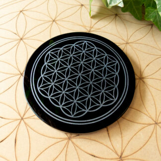 Plaque de rechargement en Obsidienne noire