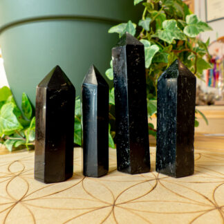 Tourmaline Noire pointes
