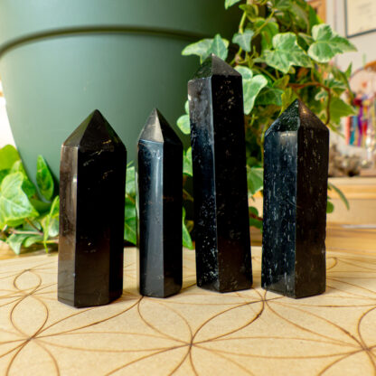 Tourmaline Noire pointes