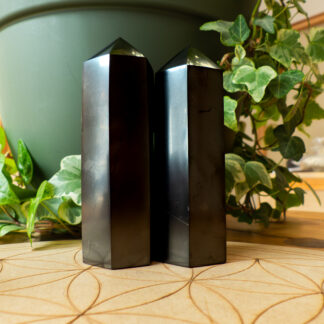 Shungite pointes