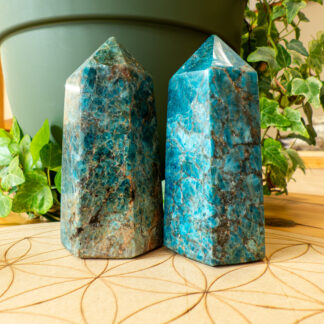 Apatite pointes