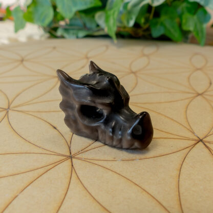 Obsidienne Argentée tête de dragon