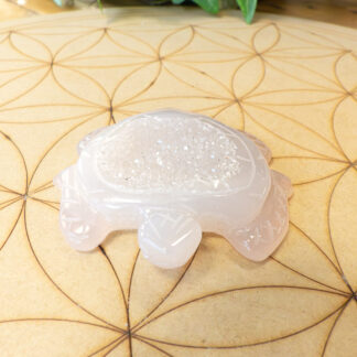 Agate Grise tortue