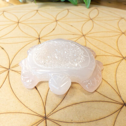 Agate Grise tortue