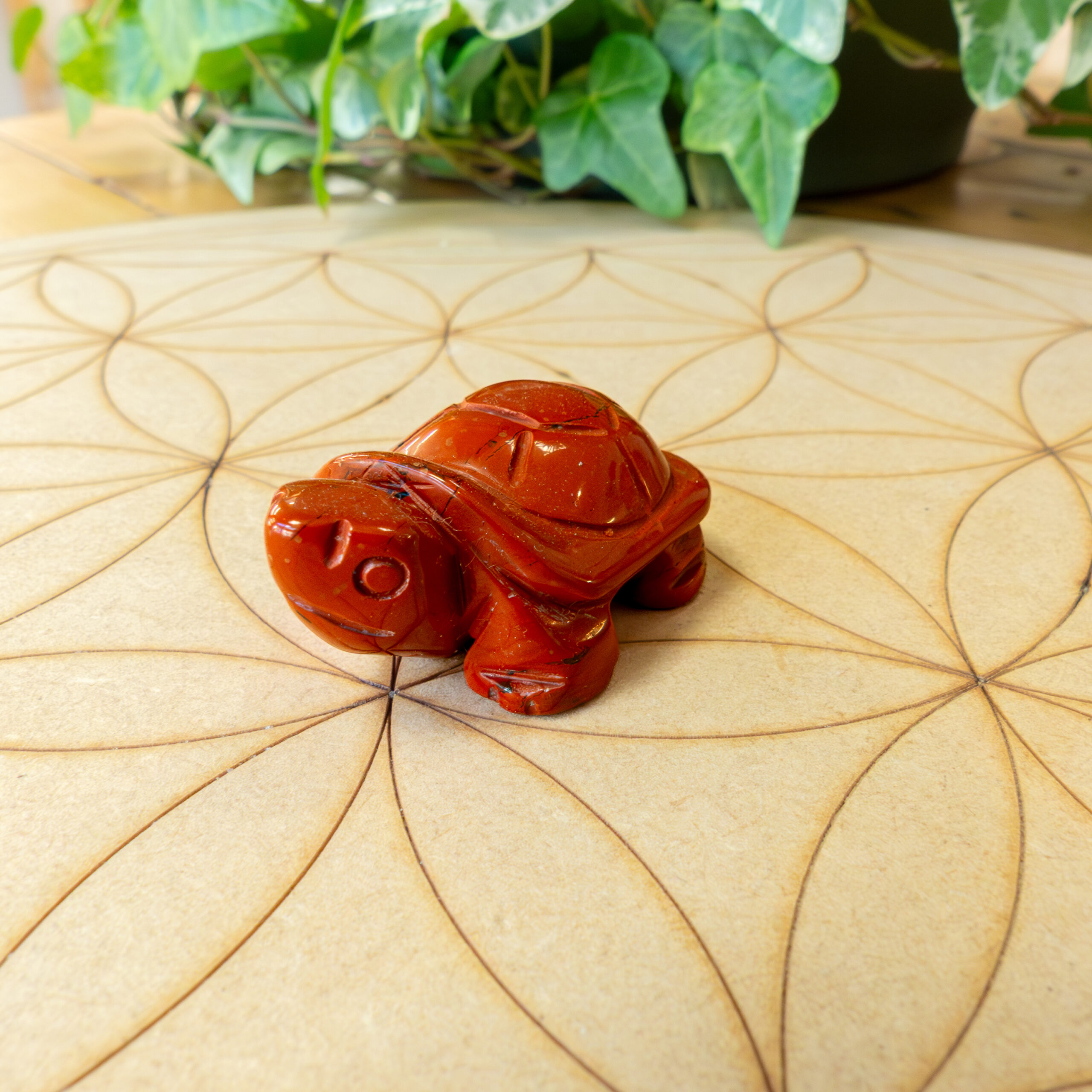 Jaspe Rouge tortue