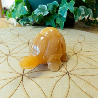 Calcite Jaune tortue