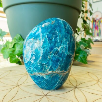 Apatite forme libre – Image 2