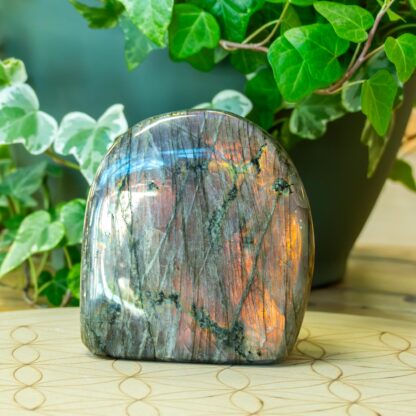 Labradorite Forme libre #12 – Image 2