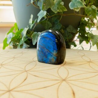 Labradorite Forme libre #1