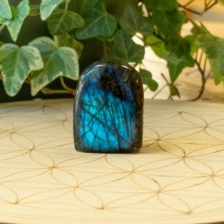 Labradorite Forme libre #3