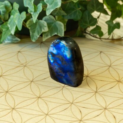 Labradorite Forme libre #4