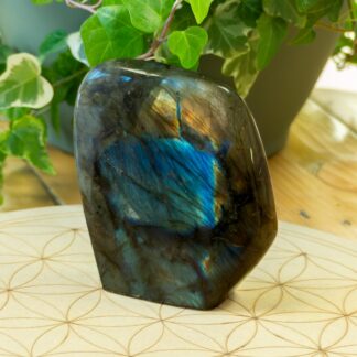 Labradorite Forme libre #15