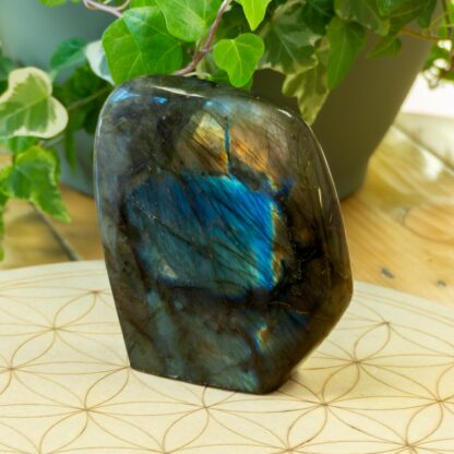 Labradorite Forme libre #15