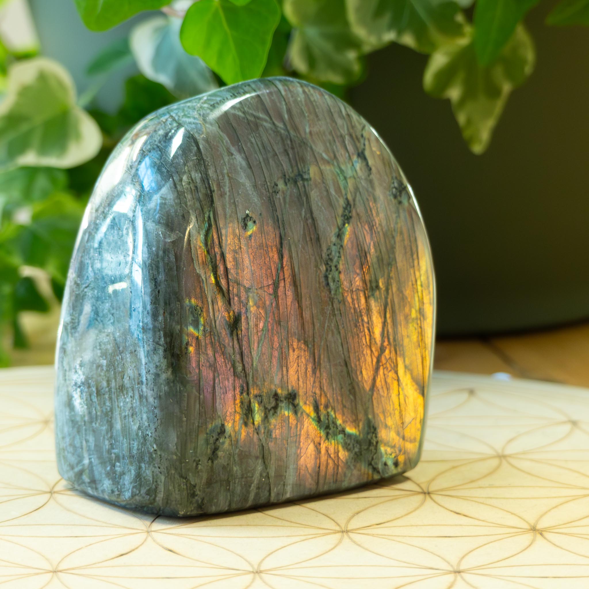 Labradorite Forme libre #12