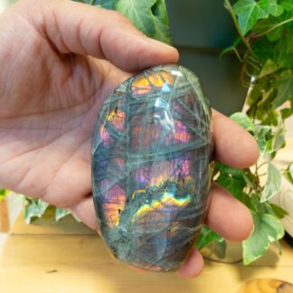 Labradorite Forme libre #10