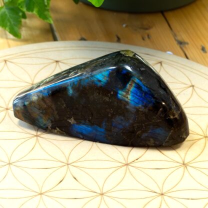 Labradorite Forme libre #6