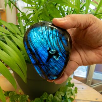 Labradorite Forme libre #11