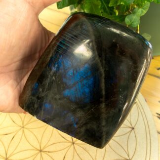 Labradorite Forme libre #14