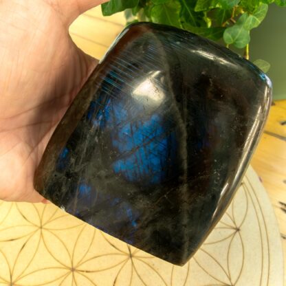 Labradorite Forme libre #14