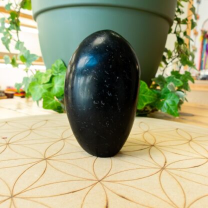 Tourmaline Noire forme libre – Image 4
