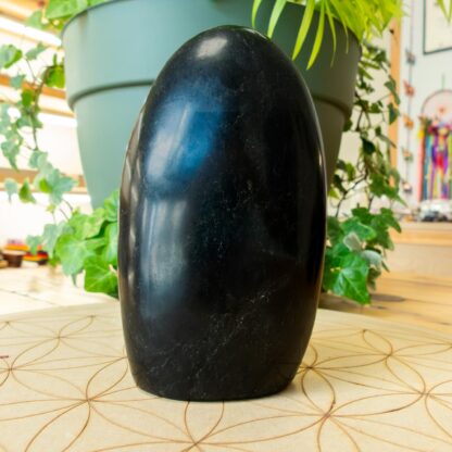 Tourmaline Noire forme libre