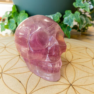 Fluorite Crâne