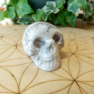 Howlite Crâne