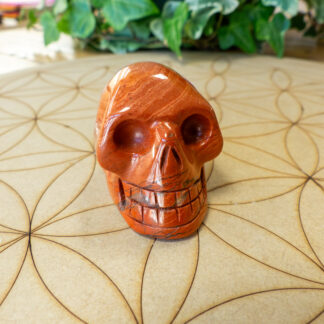 Jaspe Rouge Crâne