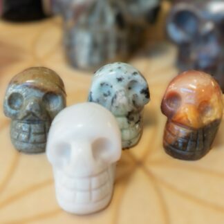 Jaspe petit crâne