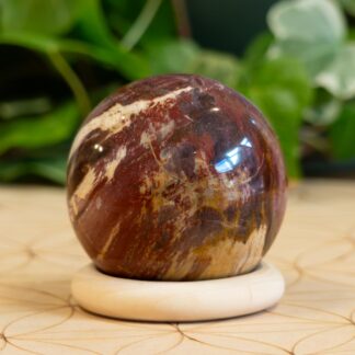 Bois Fossile petite sphère