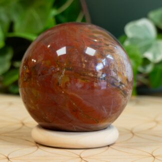 Bois Fossile grande sphère