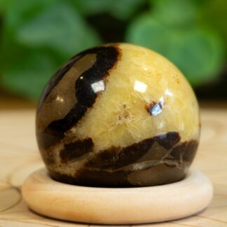 Septaria sphère