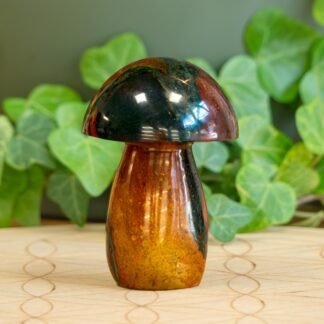 Jaspe Héliotrope champignon