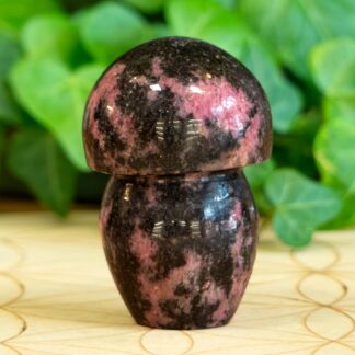 Rhodonite champignon
