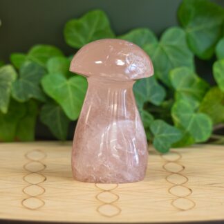 Quartz Rose champignon