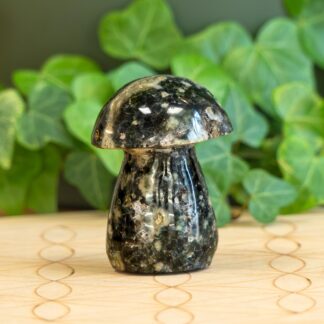 Agate Noire champignon