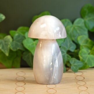 Agate Blanche champignon