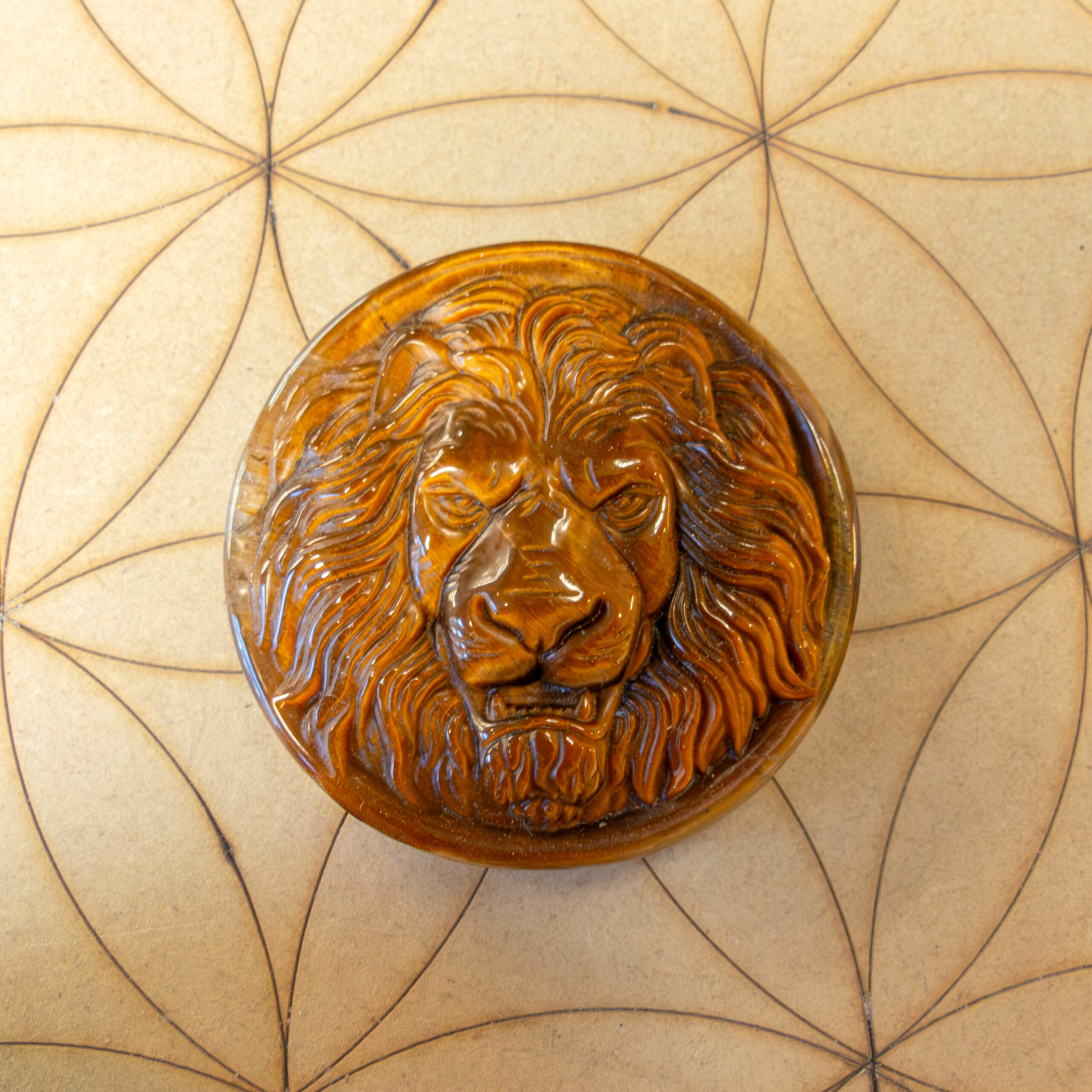 Tête de Lion en Œil de Tigre