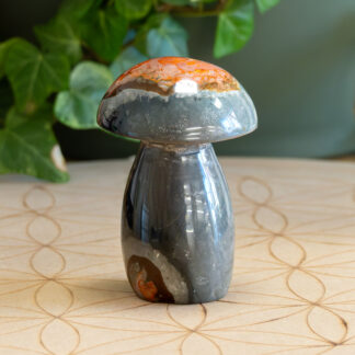 Agathe Champignon